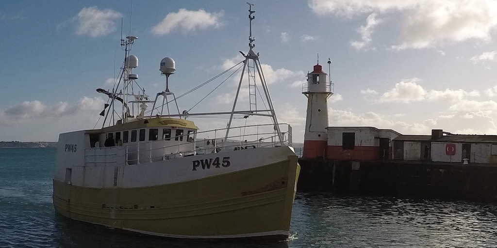 Read more about the article Cornish hake recertified