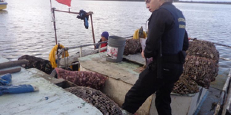 Seafood seized in Chiloé - @ Fiskerforum