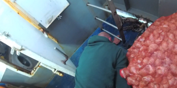 Dumping catch leads to jail time