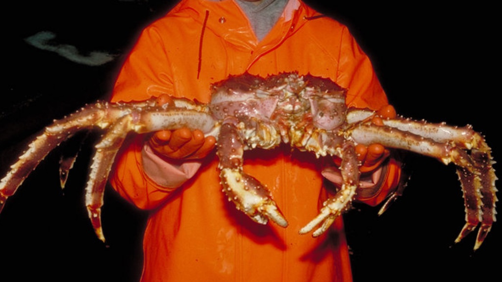 Read more about the article Crab catchers face charges of illegally transporting crab