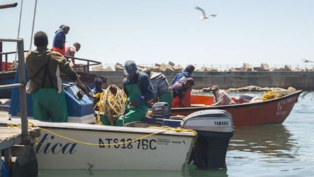 Read more about the article SA minister lifts quotas to benefit small-scale fisheries