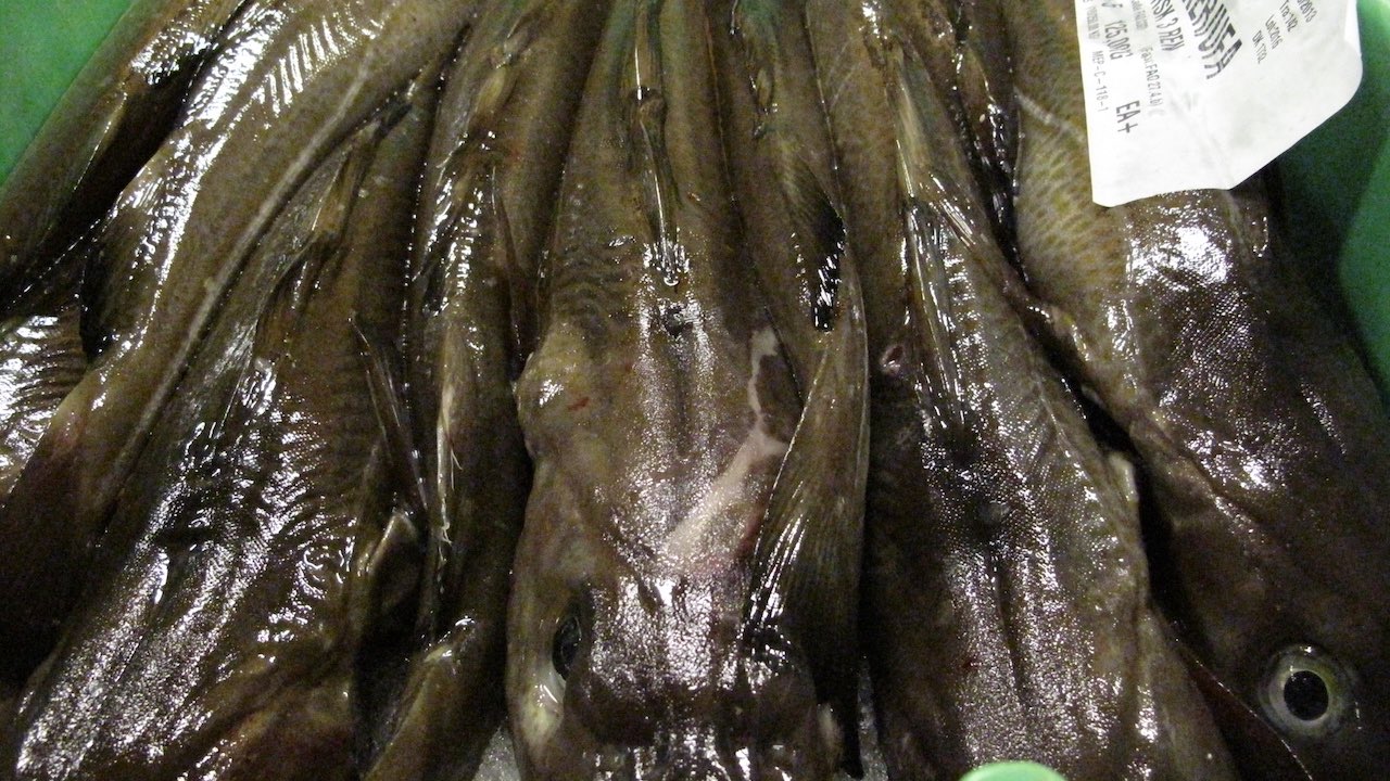 Read more about the article Plenty of cod for Denmark’s new year consumers