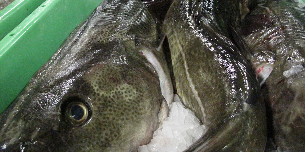 Read more about the article EU and UK strike 2026 fishing rights deal