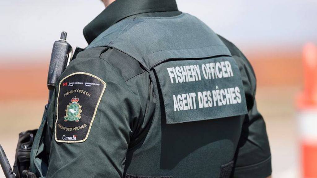 Read more about the article Six-year sentence for BC poacher