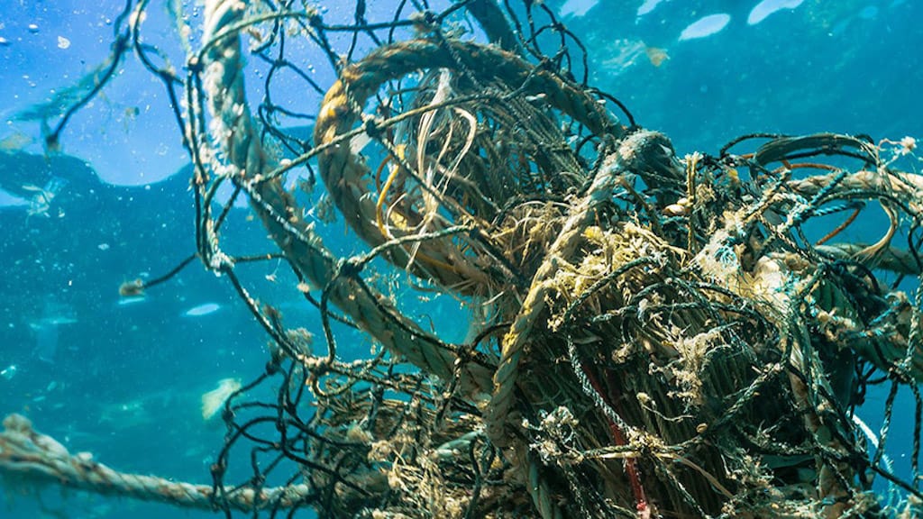Read more about the article Canada launches third call for Ghost Gear Fund proposals