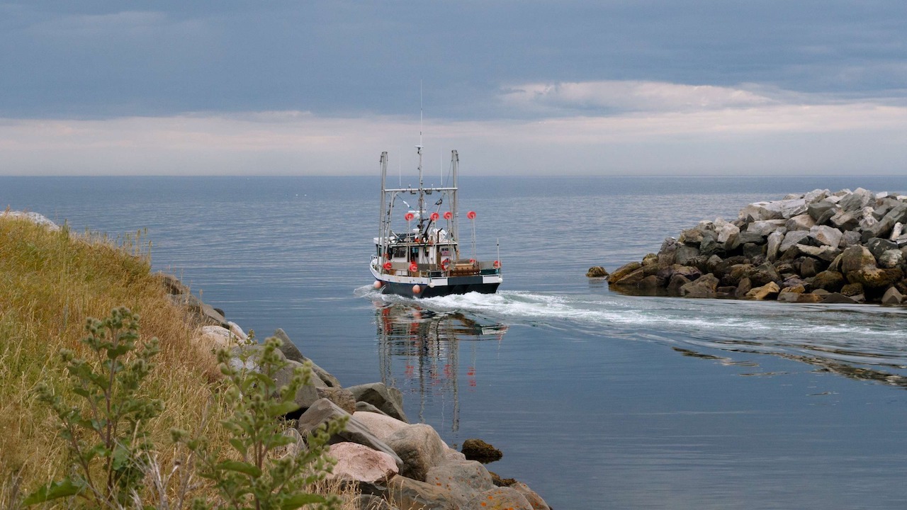 Read more about the article Funding supports innovation and sustainability in Canada’s fisheries