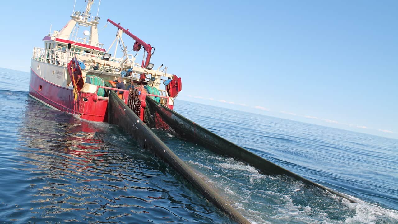 Read more about the article Danish Fisheries must become even more sustainable