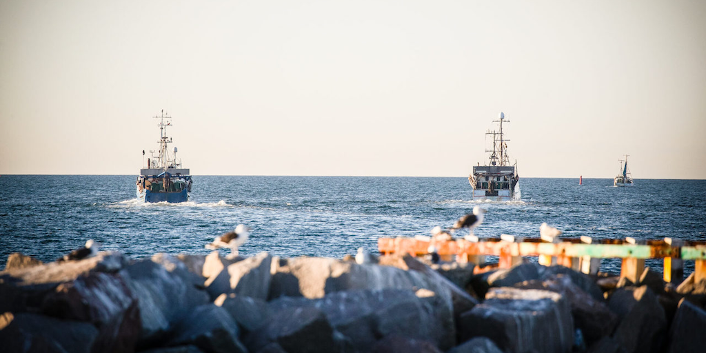 Read more about the article Billion-Euro trawl study’s claims based on discredited science