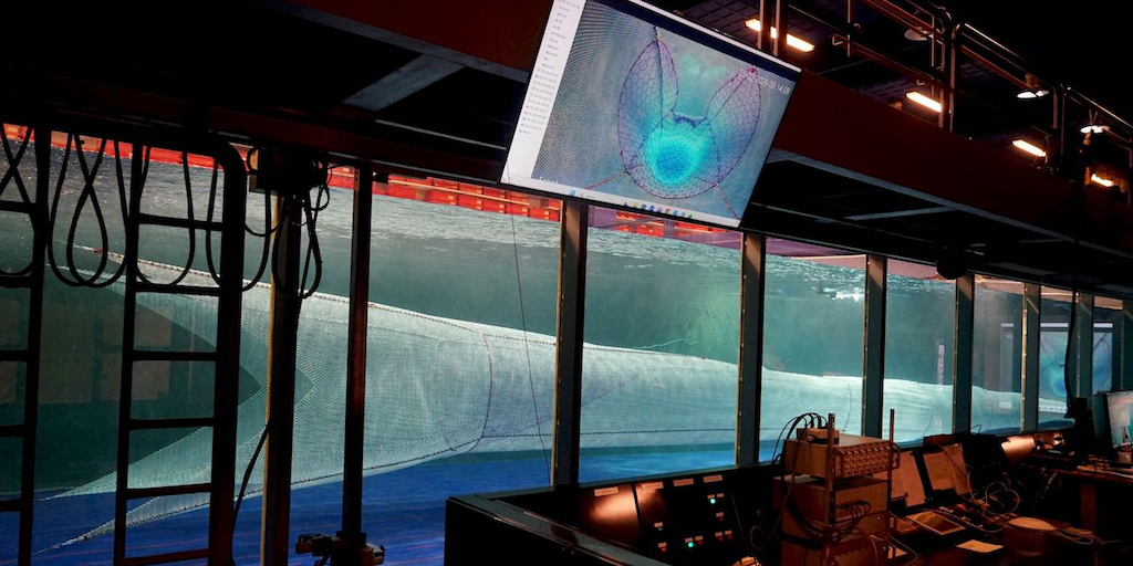 Read more about the article DPPO develops new ETP species excluder