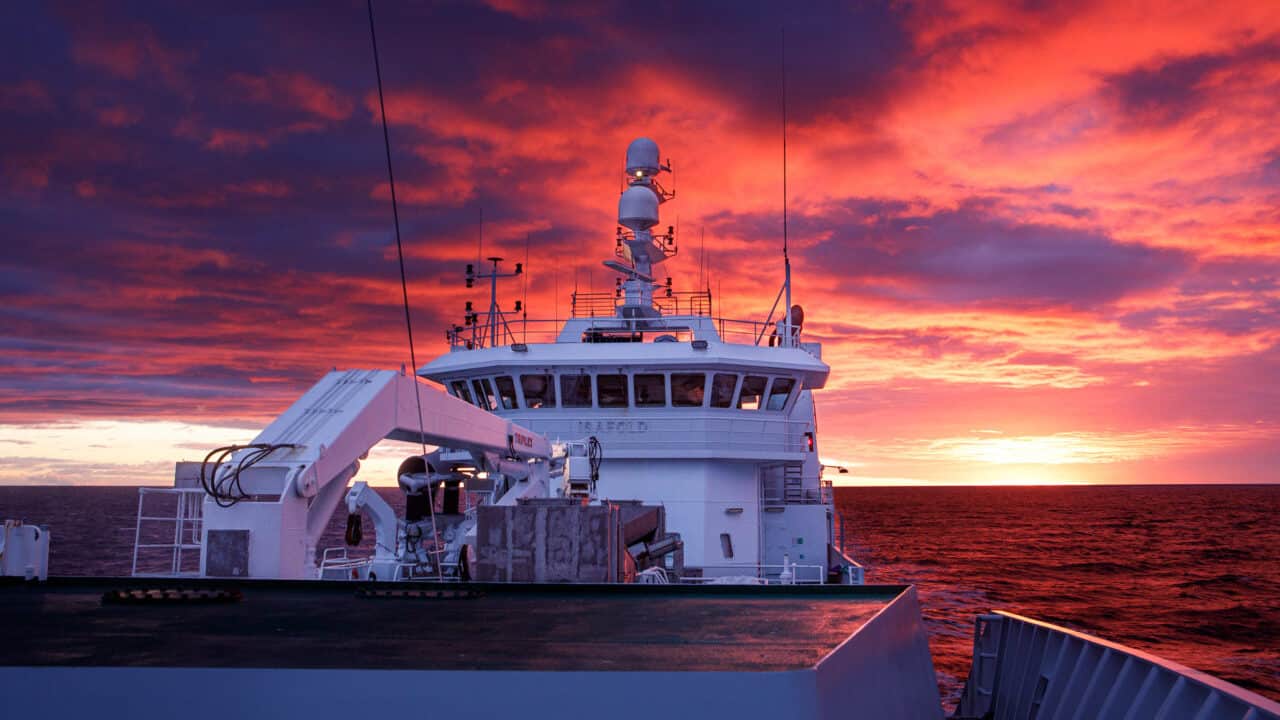 Read more about the article Danish pelagic fleet introduces 100% documented fishing