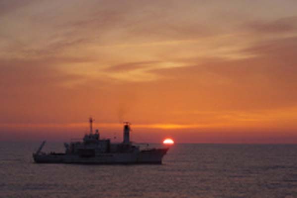 Read more about the article Commissioner Damanaki Addresses illegal fishing at London Conference
