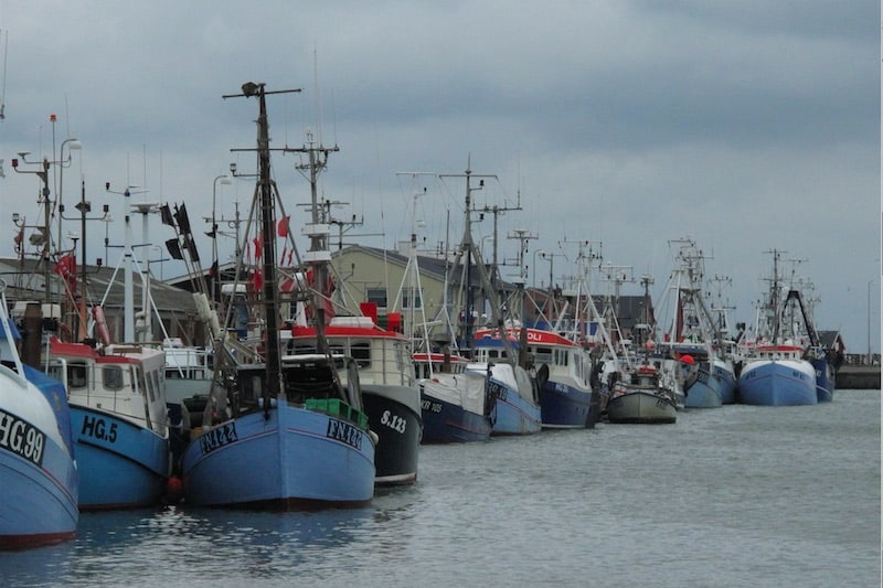 Read more about the article Danish POs join forces with European Fisheries Alliance