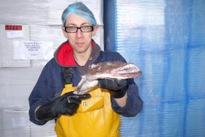Daryl Innes is working at Seafood Ecosse in Peterhead - @ Fiskerforum