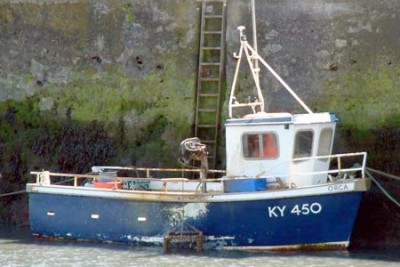 KY 450 –  Orca – ©FiskerForum - Foto: DavieTait