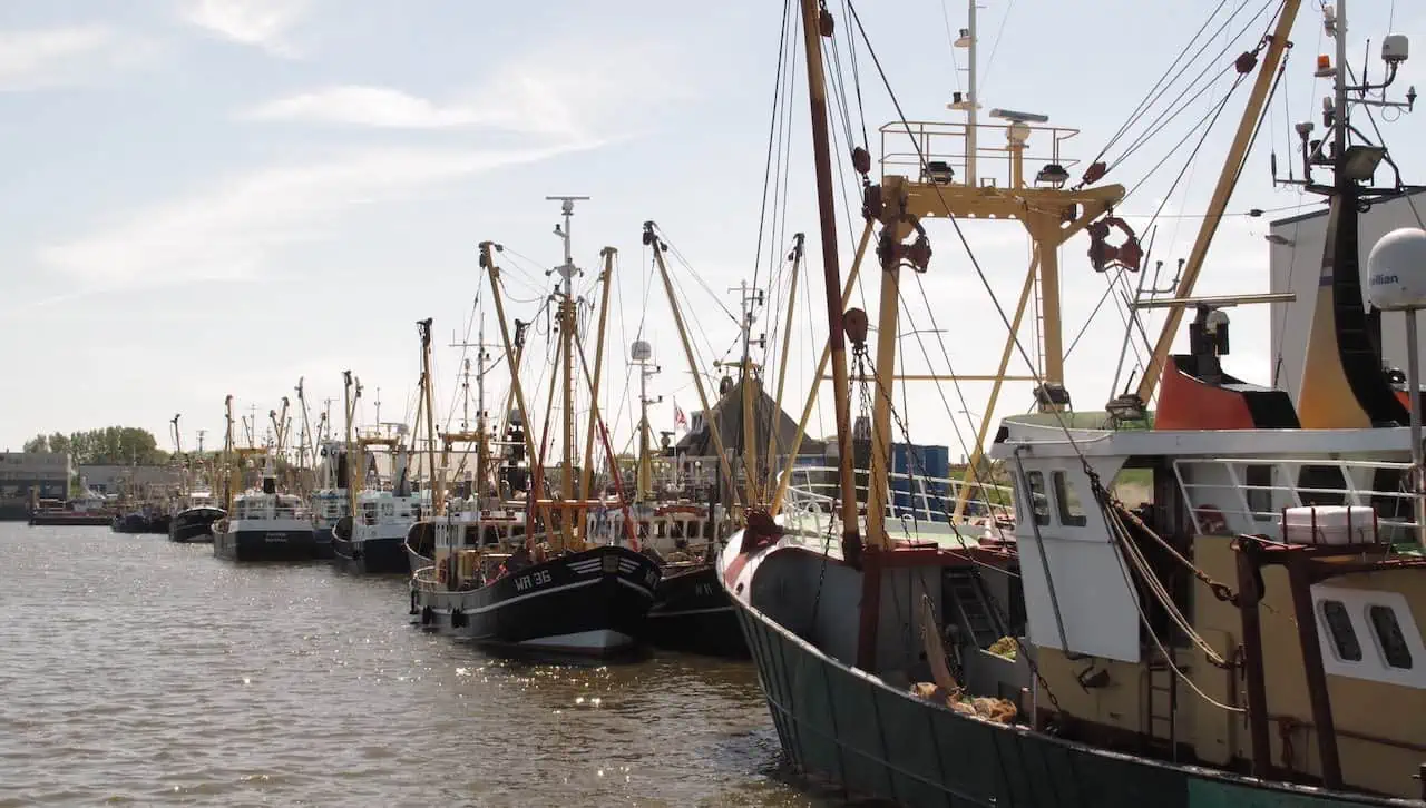 Read more about the article Dutch fishermen doubt the future of their business