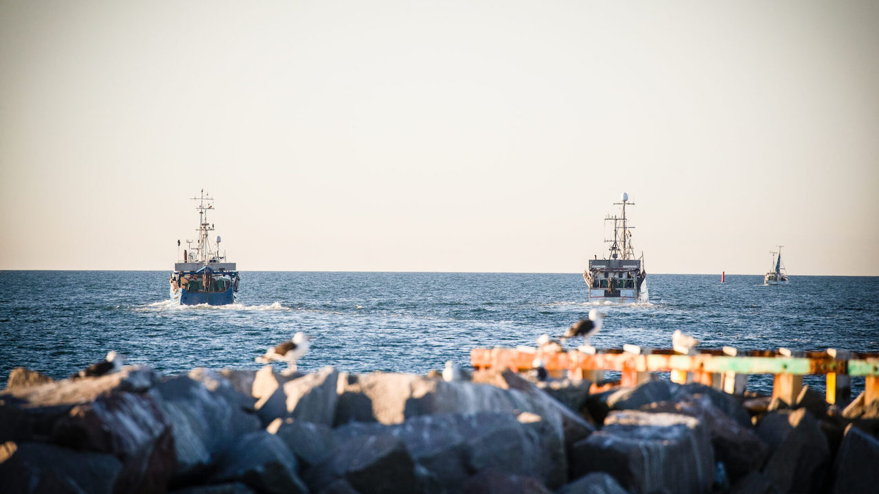 Read more about the article Proposals for Danish fishing’s future