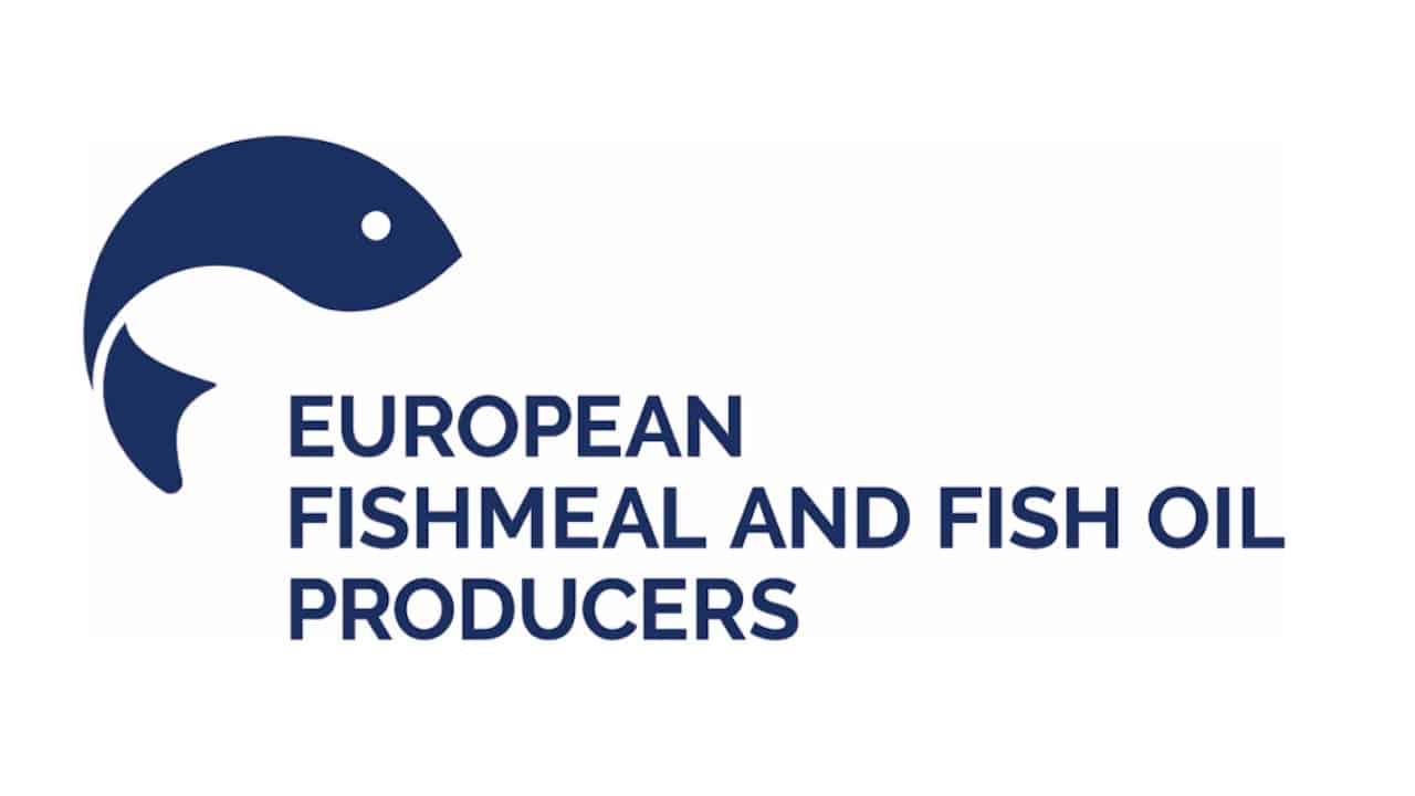 Read more about the article New and old faces on the EFFOP board