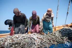Thailand has become the first Asian nation to ratify the C-188 Work in Fishing Convention. Image: EJF - @ Fiskerforum