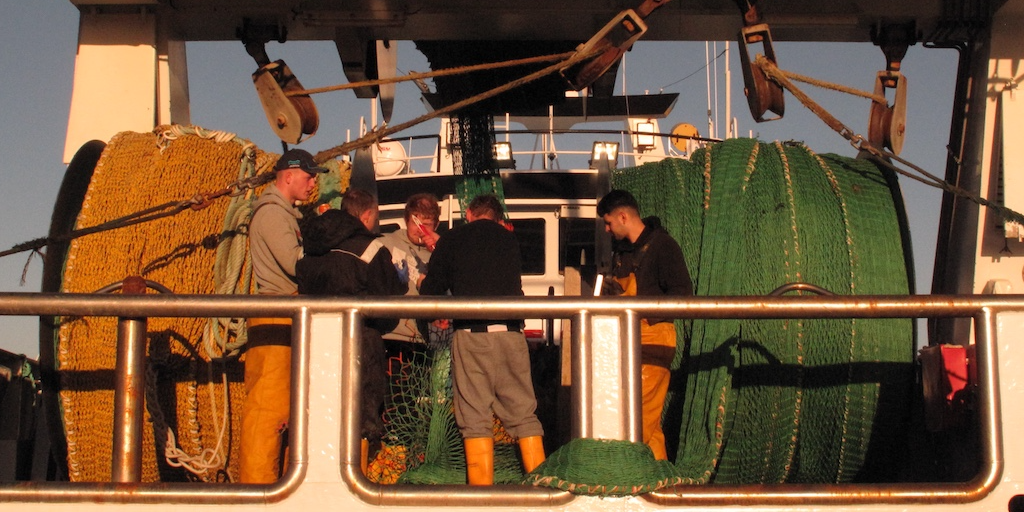 Read more about the article First annual social report profiles fisheries, aquaculture and fish processing