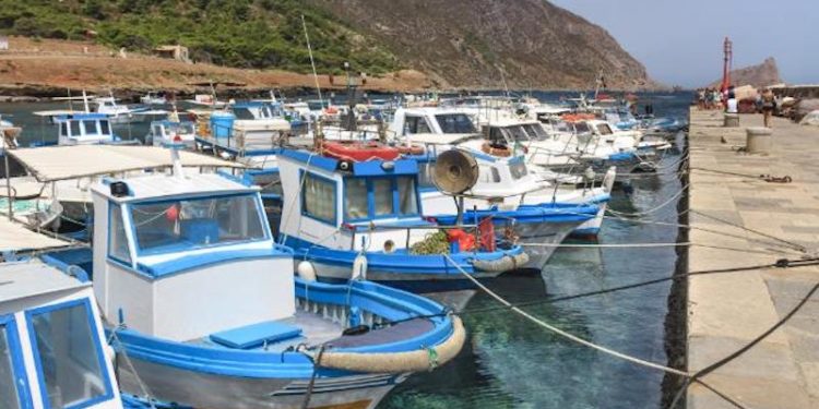 A 10-year regional action plan has been adopted for sustainable small-scale fisheries in the Mediterranean and the Black Sea. Image: European Commission - @ Fiskerforum