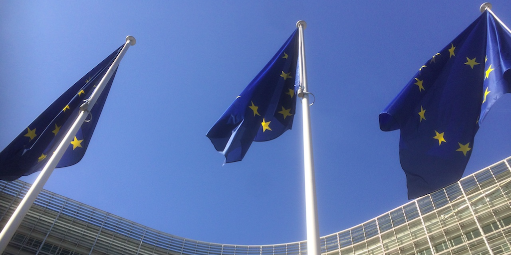 Read more about the article European Parliament issues call to revise CFP