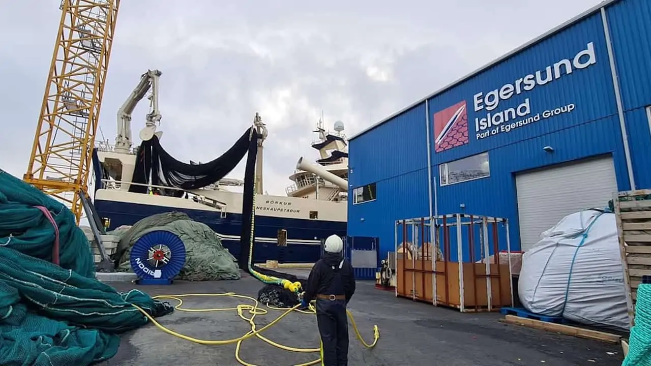 Read more about the article Egersund Ísland gears up for capelin season