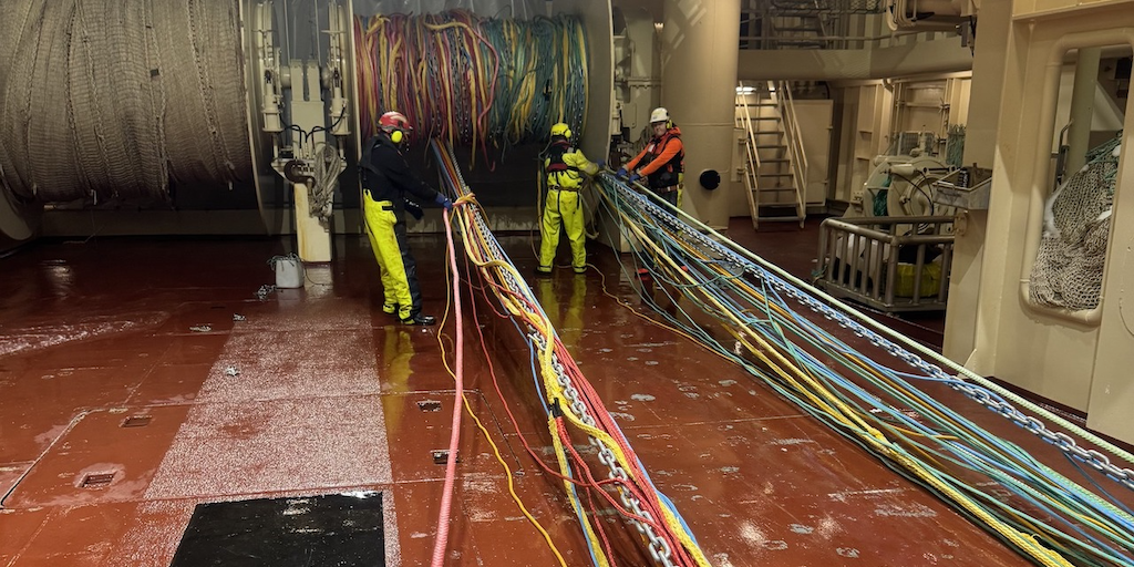 Read more about the article SeaKing scores on blue whiting