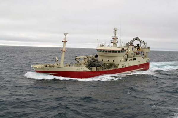 Read more about the article An extraordinary Mackerel trawl!