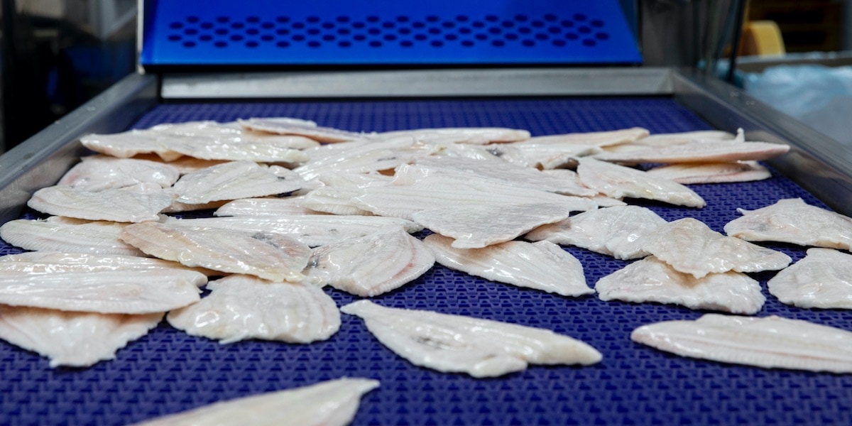 Read more about the article ENGIE introduces DI freezer at Seafood Expo Global