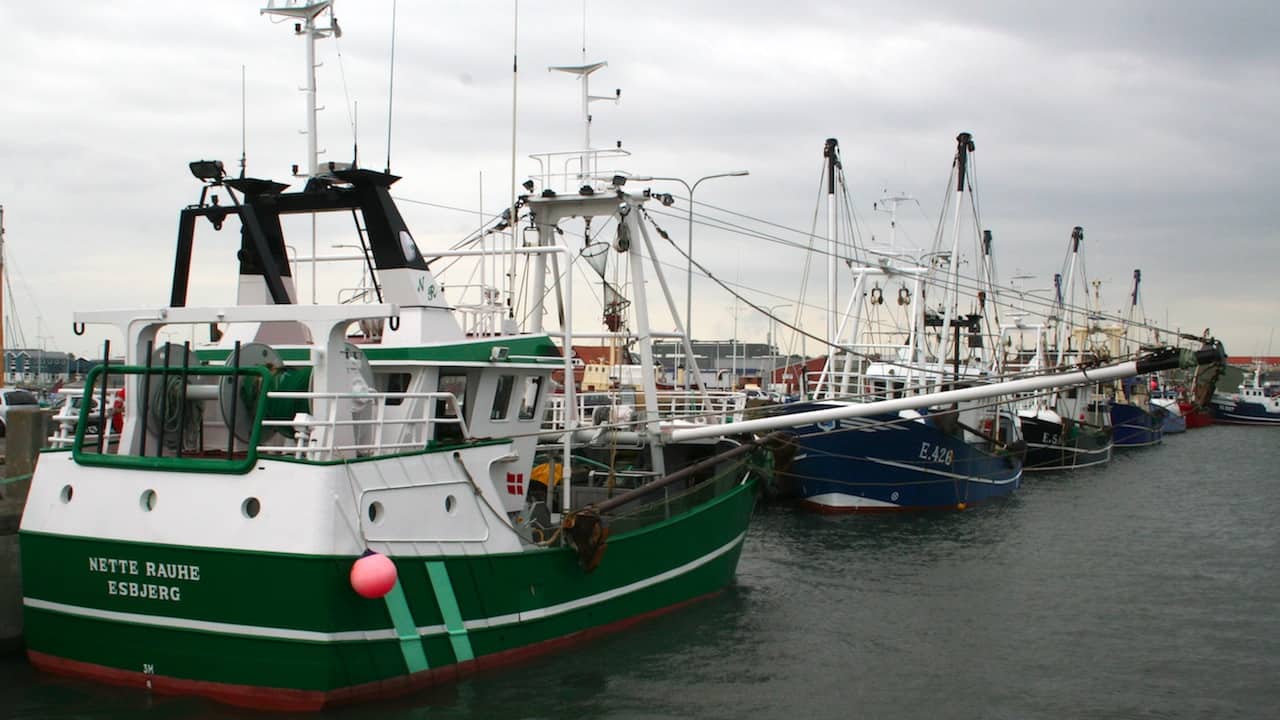 Read more about the article New thinking on Danish fishing