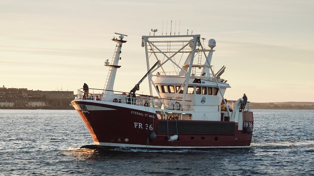 Read more about the article Scalloper on trials