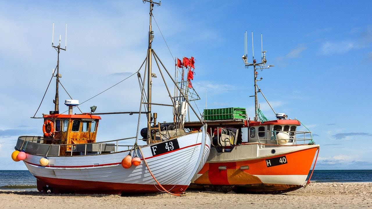 Read more about the article East Baltic fishermen risk becoming an endangered species