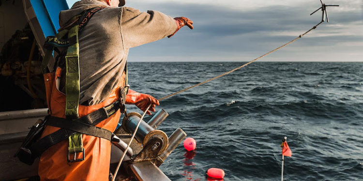 Fishing industry figures have welcomed the French government demand for more socially sustainable fisheries policies - @ Fiskerforum