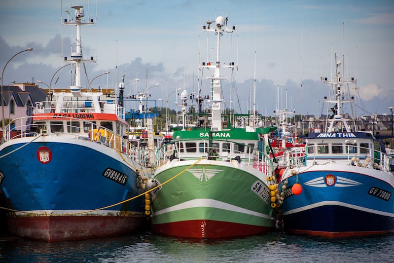 Read more about the article Europêche urges swift adoption of new EU fisheries fund