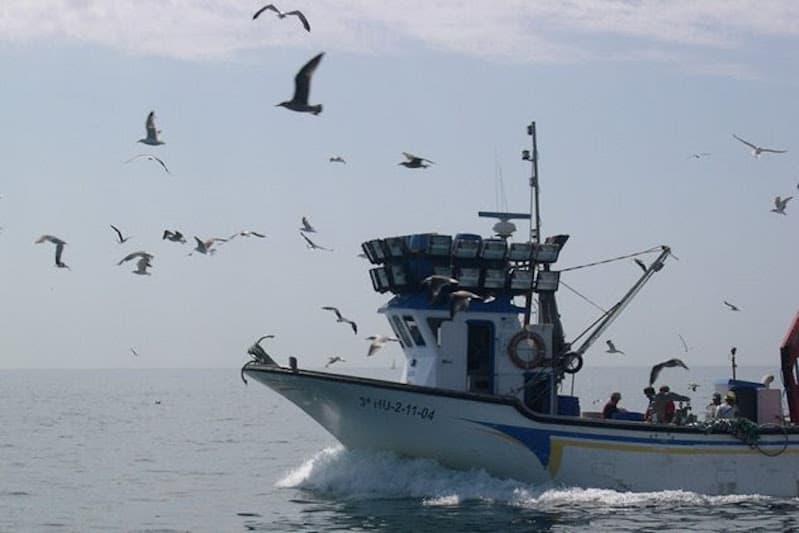 Read more about the article EU-Guinea-Bissau fisheries talks break down