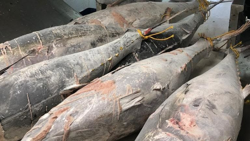 Read more about the article EU freezing-in-brine regulation benefits consumer safety and fair competition