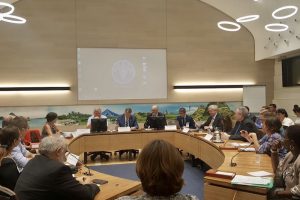 The demand for the implementation of essential principles of international law was made at the current COFI session in Rome - @ Fiskerforum