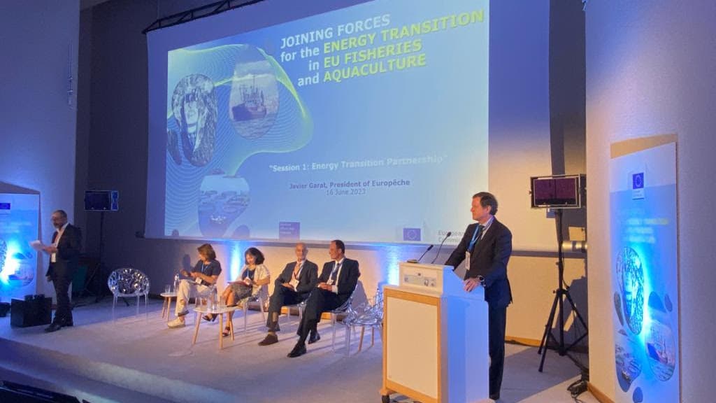 Read more about the article Leading efforts to decarbonise fisheries