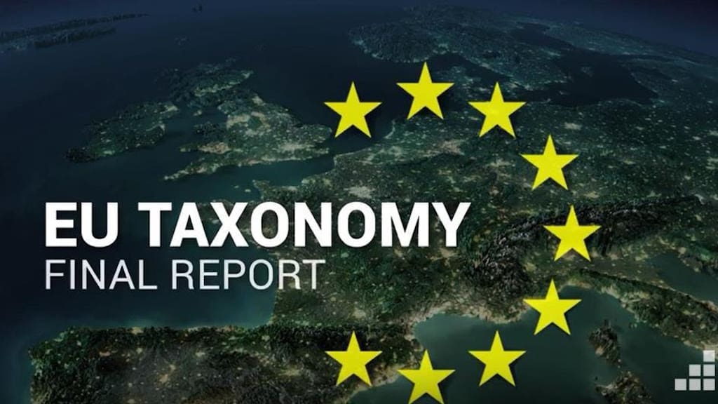 Read more about the article Transparency and expertise shortfall in EU taxonomy standards