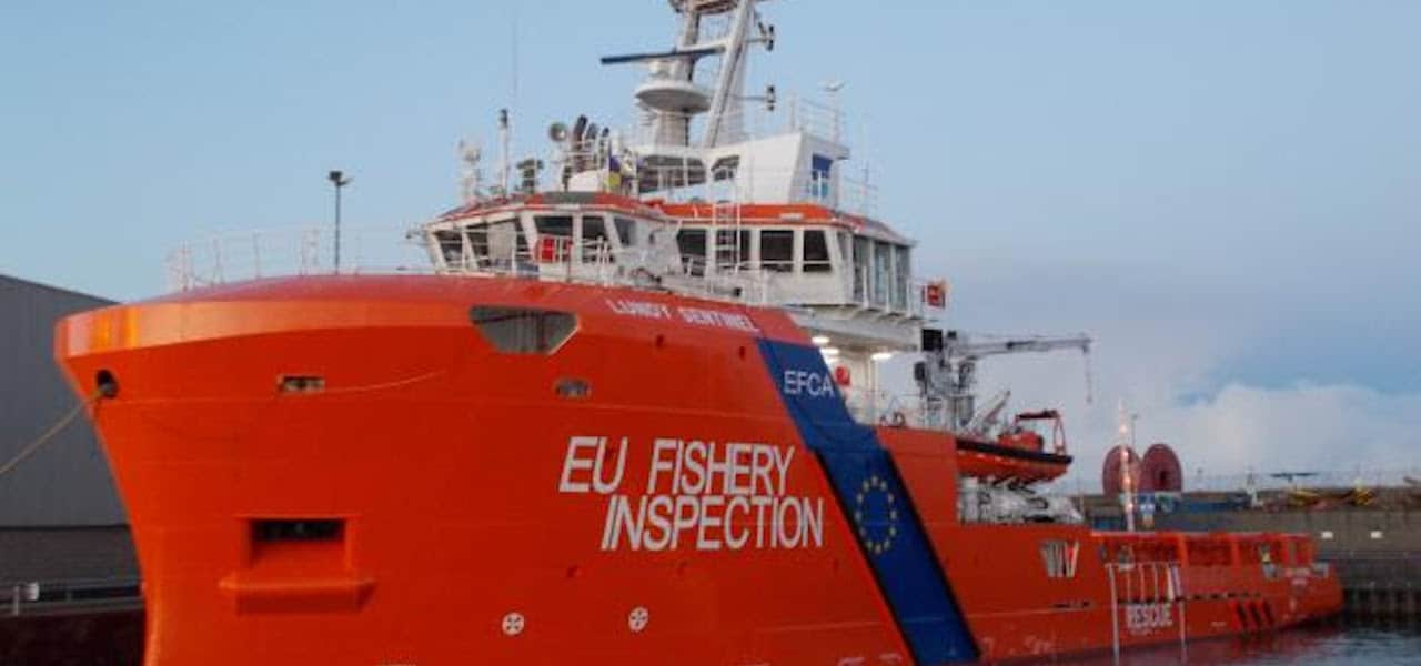 Read more about the article Europêche and NGOs join forces on modern, effective and simplified EU fisheries control rules