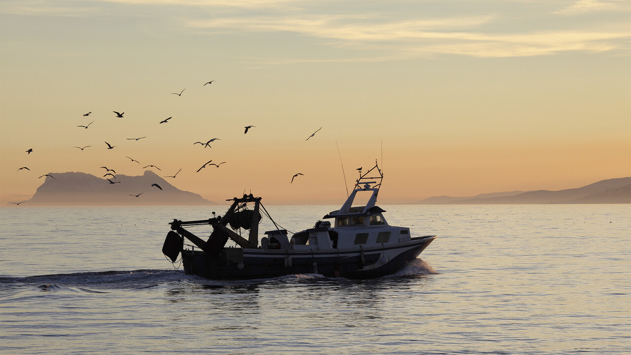 Read more about the article Social partners seek protection for Mediterranean’s coastal fishing communities