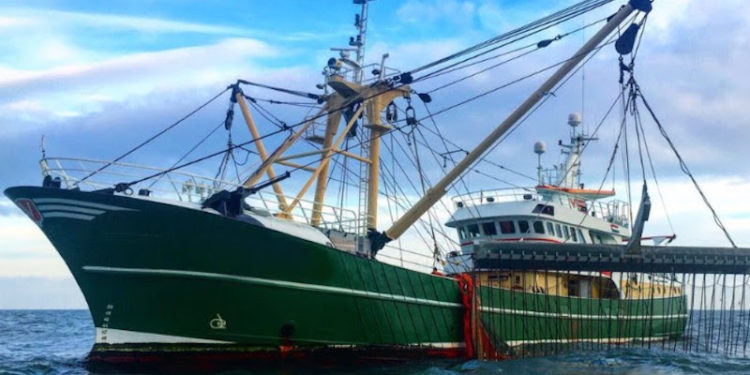 The environmental lobby has mobilised against pulse fishing - @ Fiskerforum