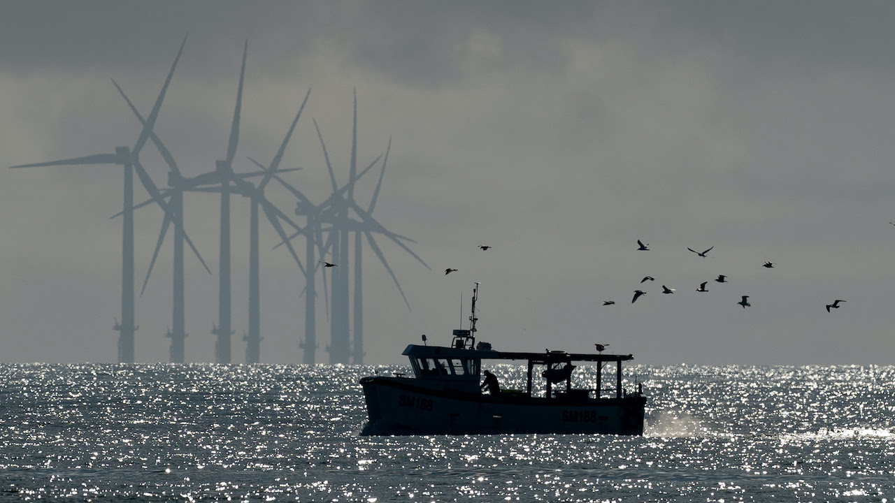 Read more about the article Commission must address marine spatial squeeze