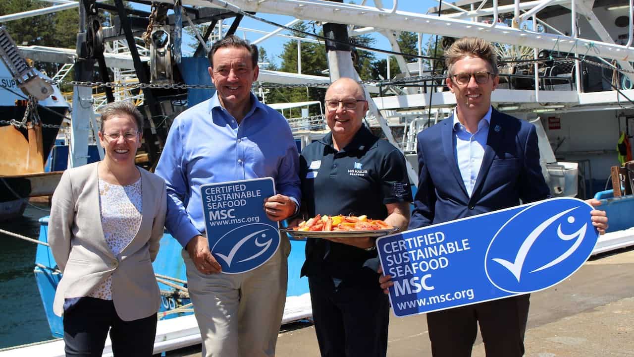Read more about the article Exmouth Gulf prawns MSC re-certified