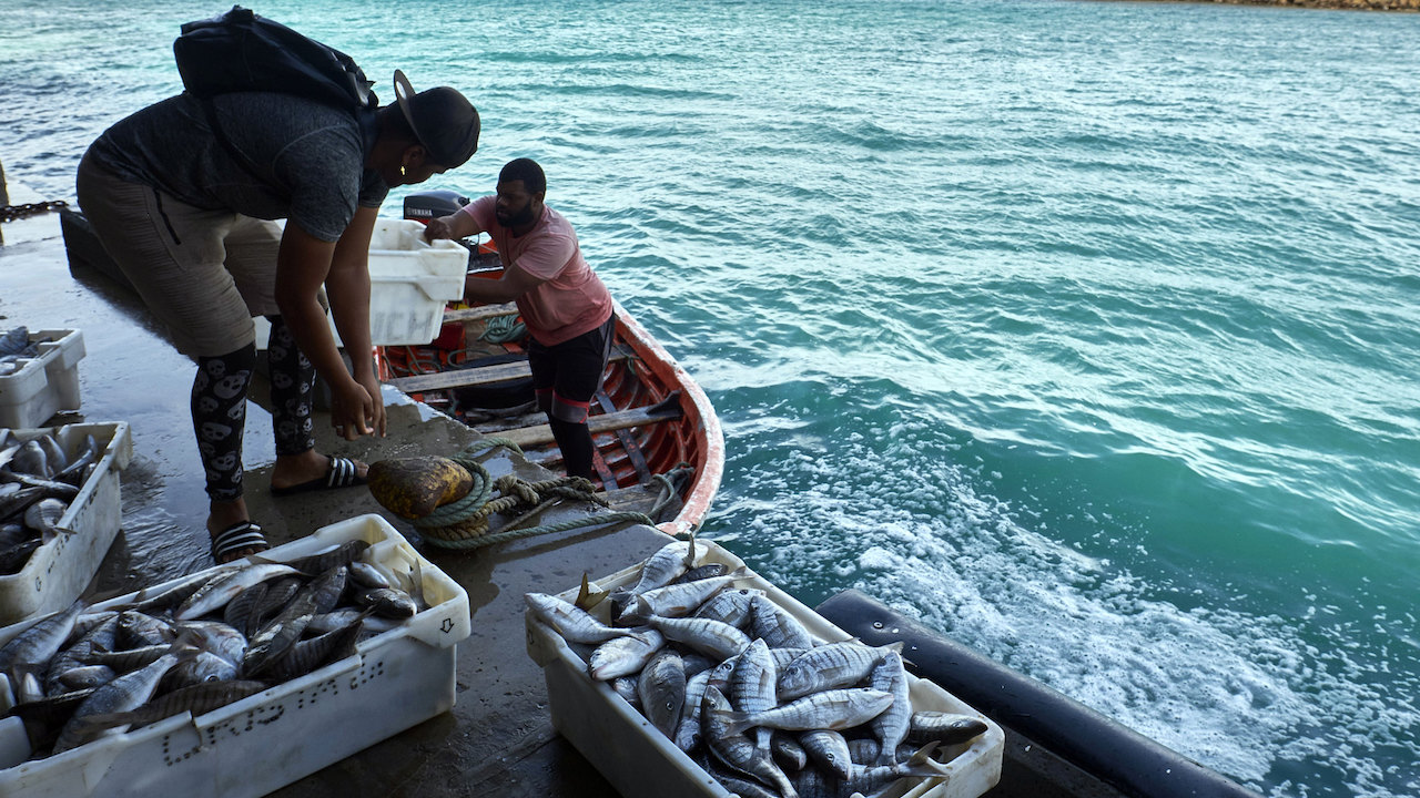 Read more about the article Cabo Verde renews fisheries partnership with EU