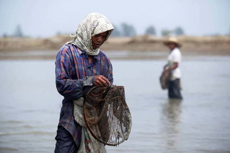 Read more about the article FAO and WorldFish agreement aims to harness the power of fisheries and aquaculture research