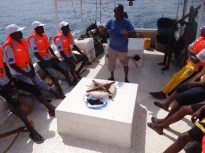 Read more about the article Somalia’s fishing coaches take skills home