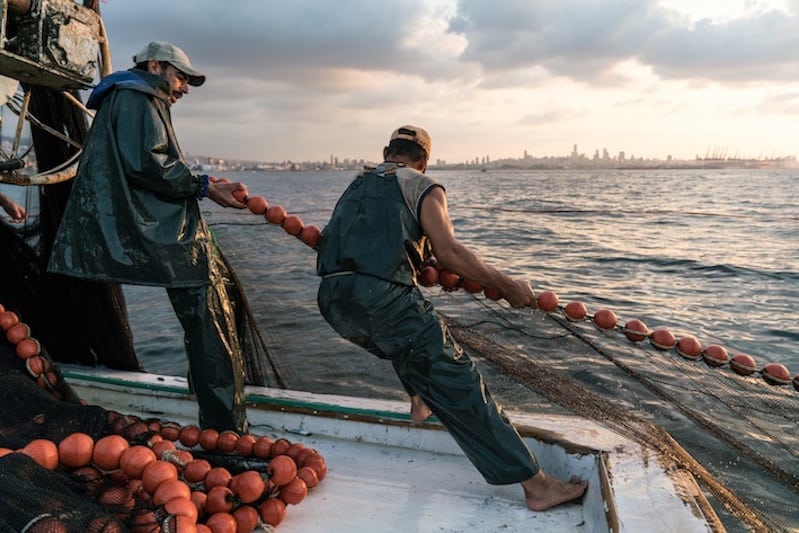 Read more about the article Report raises hopes for Mediterranean and Black Sea fisheries