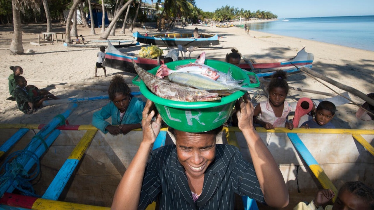 Read more about the article New global fisheries management body gets to work