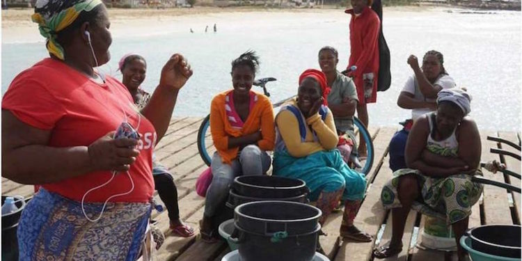 Fish sellers on the island of Sal in Cabo Verde await the return of the fishermen. They purchase the catch and then sell the fish to customers from the pier - @ Fiskerforum